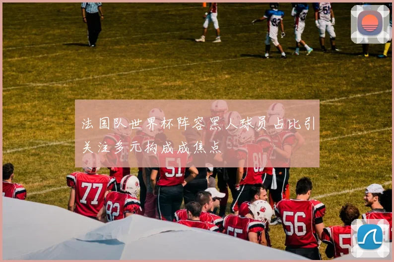 法国队世界杯阵容黑人球员占比引关注多元构成成焦点