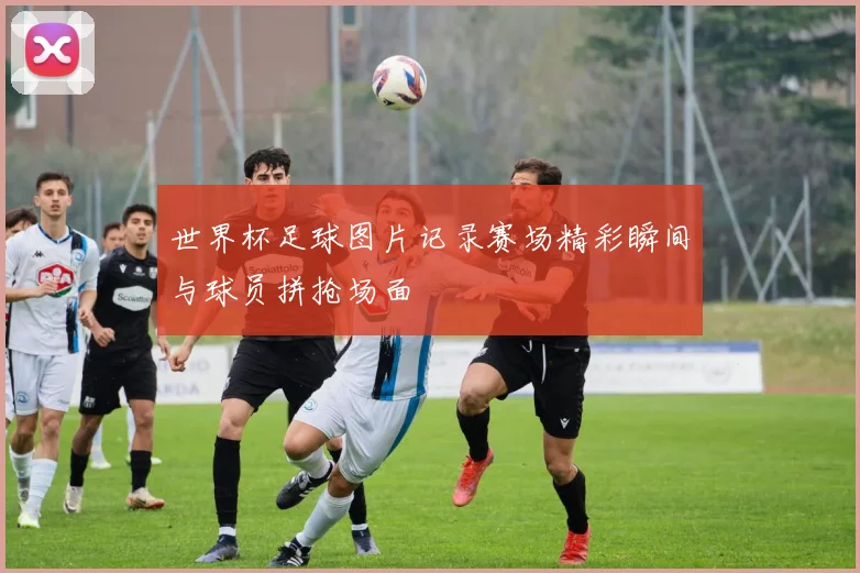 世界杯足球图片记录赛场精彩瞬间与球员拼抢场面