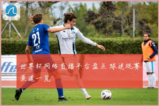 世界杯网络直播平台盘点 球迷观赛渠道一览